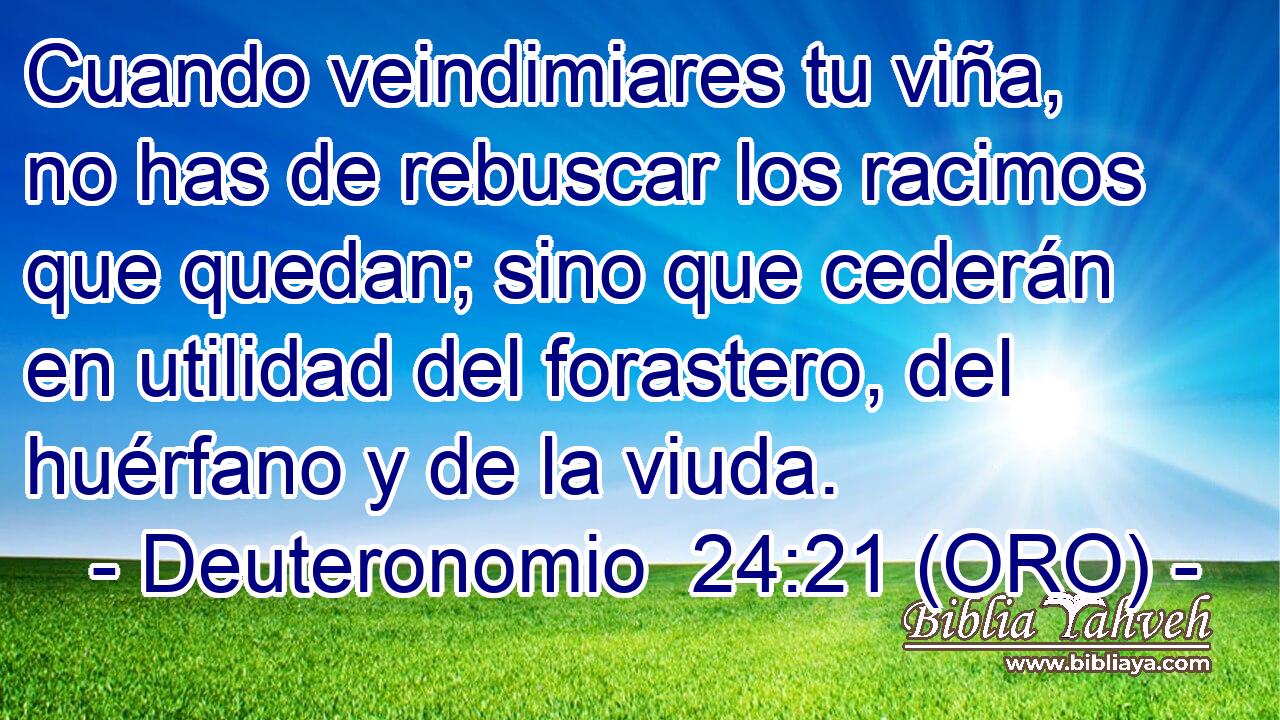  Cuando veindimiares tu viña, no has de rebuscar los racimos que quedan; sino que cederán en utilidad del forastero, del huérfano y de la viuda. 