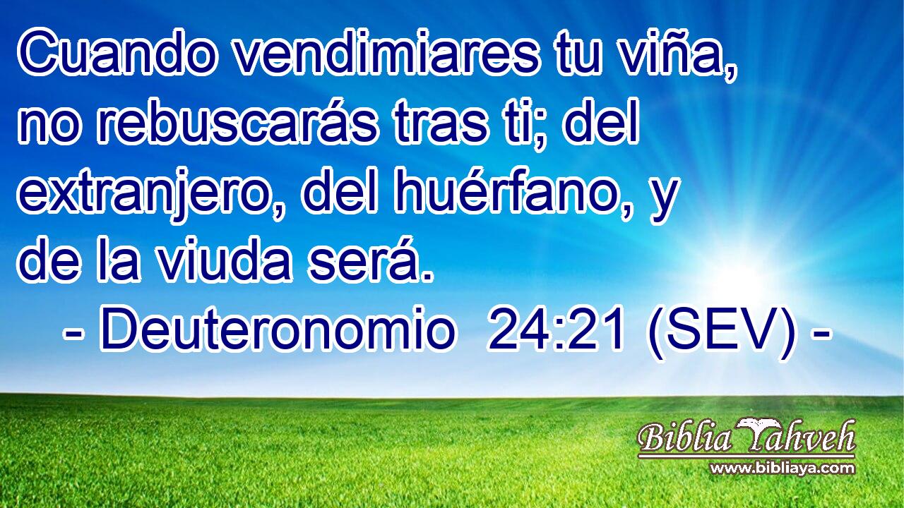 Cuando vendimiares tu viña, no rebuscarás tras ti; del extranjero, del huérfano, y de la viuda será.