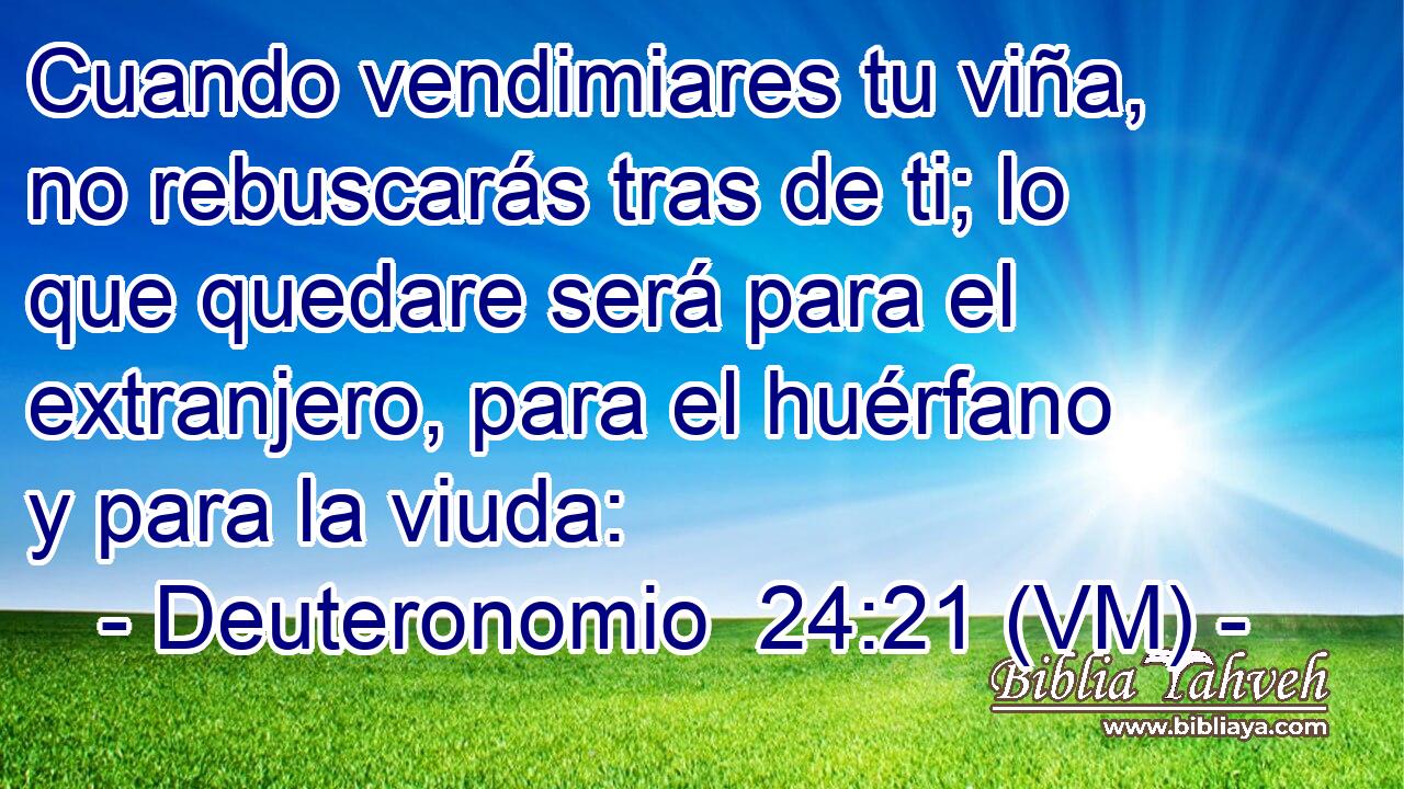  Cuando vendimiares tu viña, no rebuscarás tras de ti; lo que quedare será para el extranjero, para el huérfano y para la viuda: 