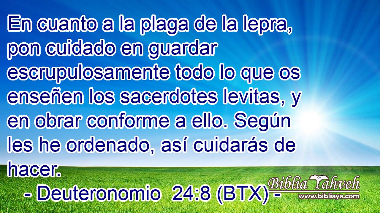 En cuanto a la plaga de la lepra, pon cuidado en guardar escrupulosamente todo lo que os enseñen los sacerdotes levitas, y en obrar conforme a ello. Según les he ordenado, así cuidarás de hacer.