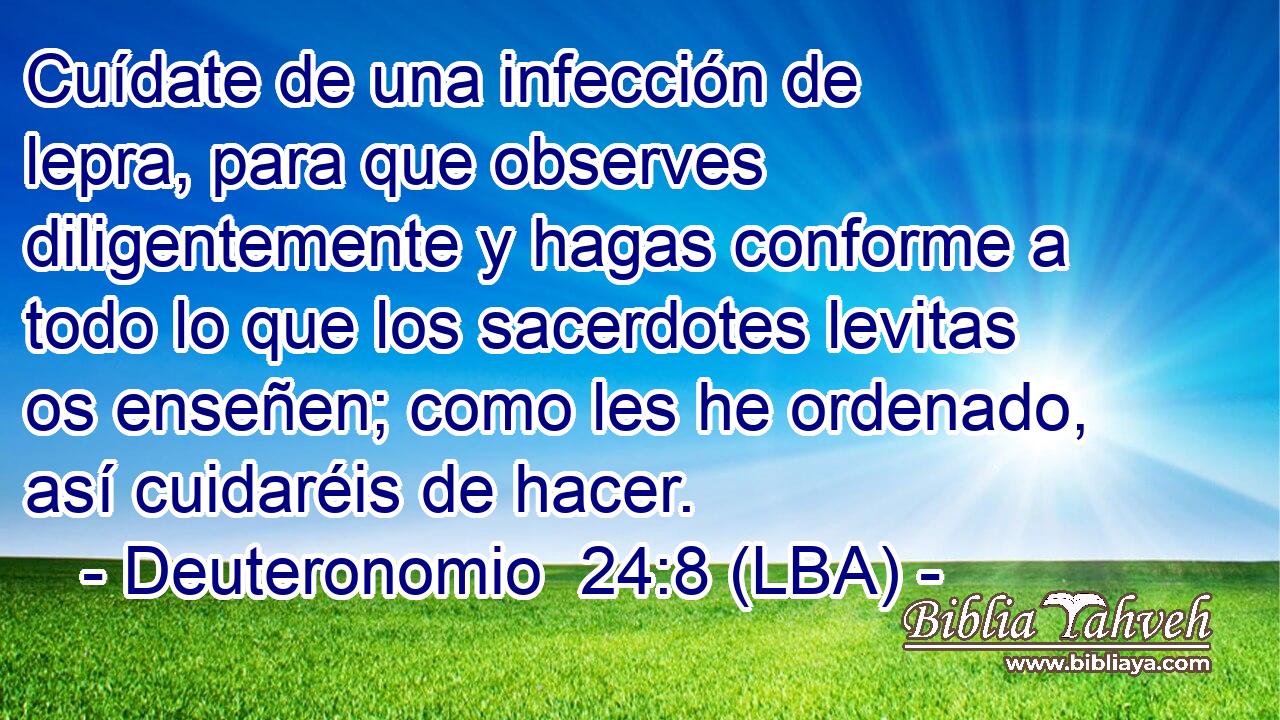 Cuídate de una infección de lepra, para que observes diligentemente y hagas conforme a todo lo que los sacerdotes levitas os enseñen; como les he ordenado, así cuidaréis de hacer.