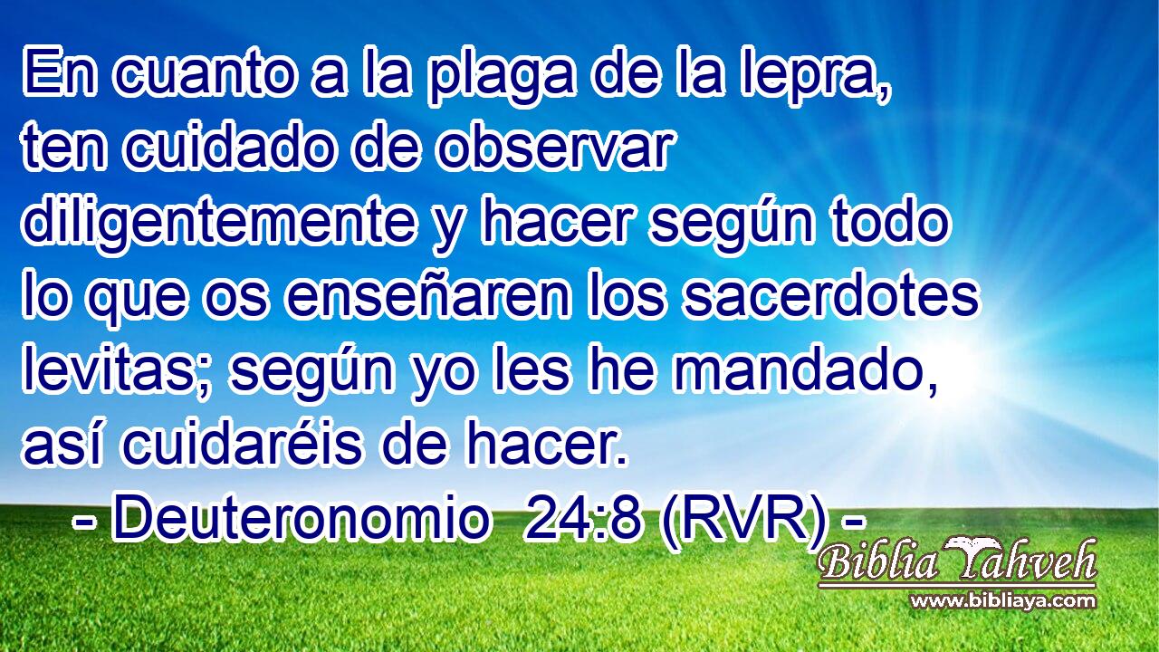 En cuanto a la plaga de la lepra, ten cuidado de observar diligentemente y hacer según todo lo que os enseñaren los sacerdotes levitas; según yo les he mandado, así cuidaréis de hacer.