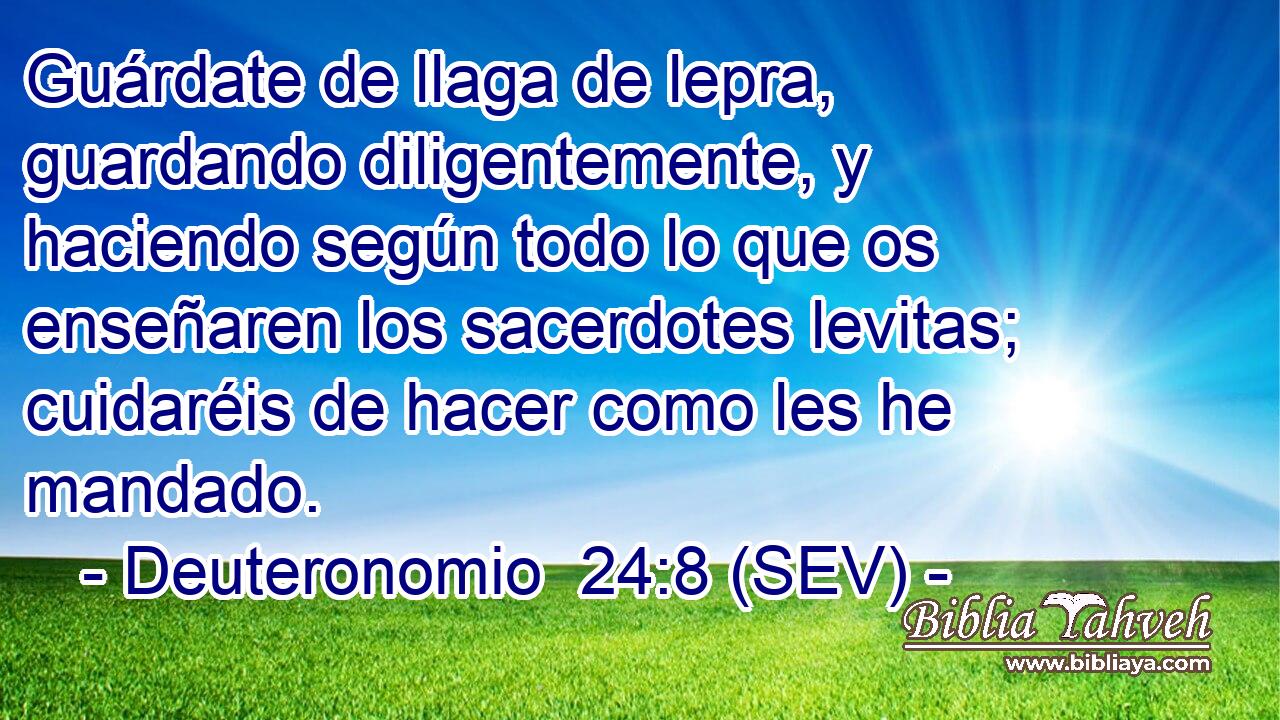 Guárdate de llaga de lepra, guardando diligentemente, y haciendo según todo lo que os enseñaren los sacerdotes levitas; cuidaréis de hacer como les he mandado.