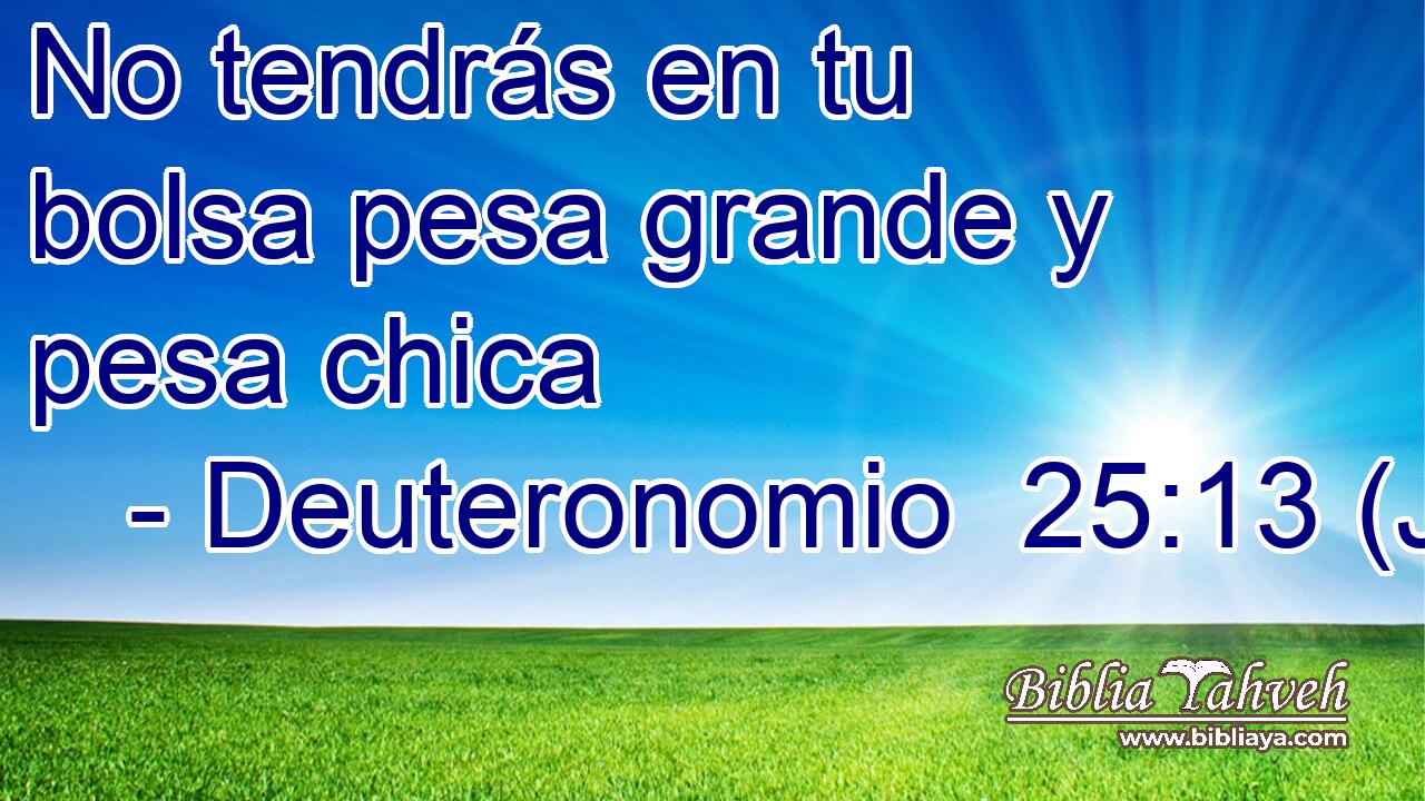 No tendrás en tu bolsa pesa grande y pesa chica