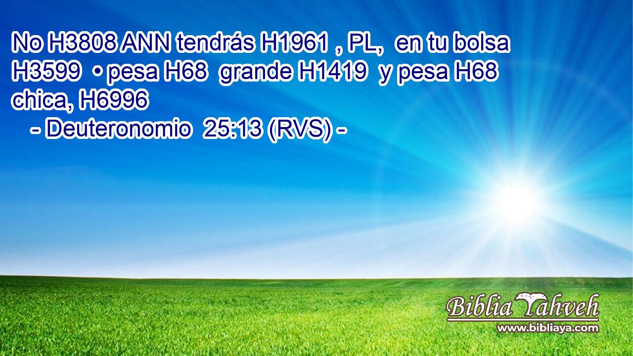 No H3808 ANN tendrás H1961 , PL,  en tu bolsa H3599  • pesa H68  grande H1419  y pesa H68  chica, H6996  