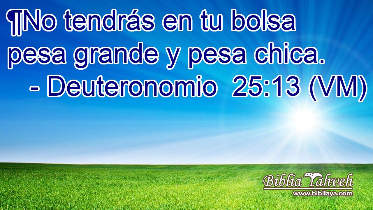  ¶No tendrás en tu bolsa pesa grande y pesa chica. 