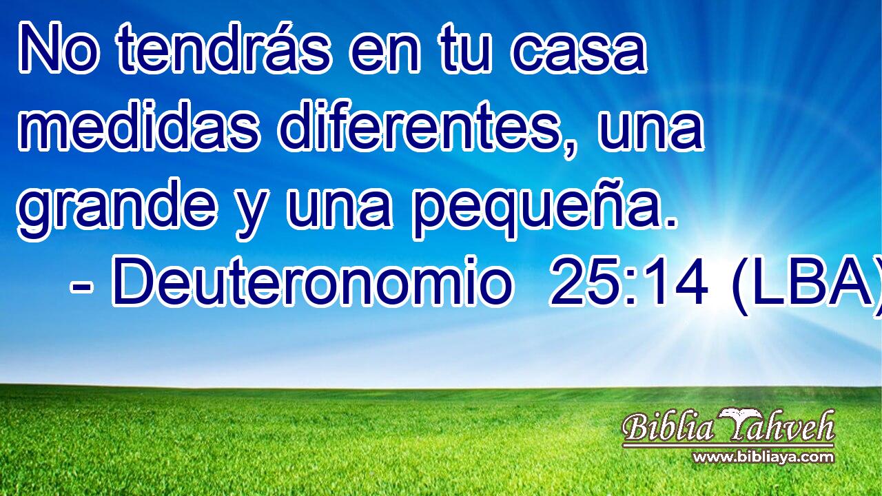 No tendrás en tu casa medidas diferentes, una grande y una pequeña.