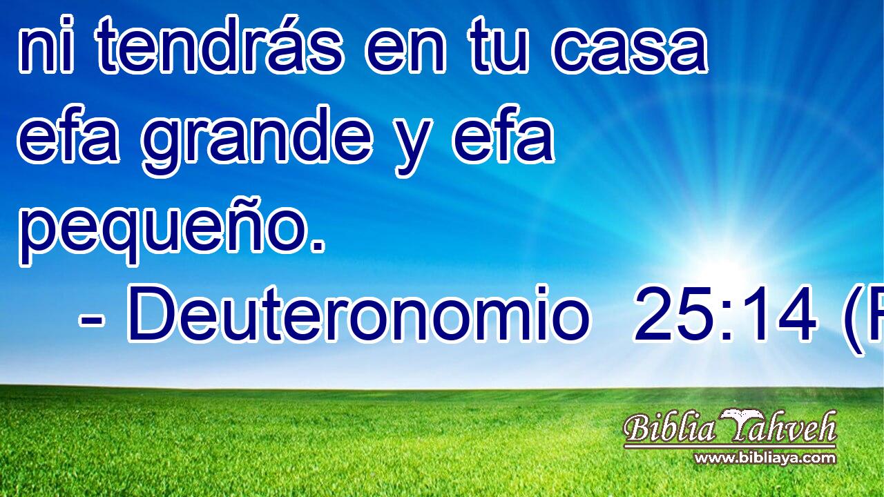 ni tendrás en tu casa efa grande y efa pequeño.