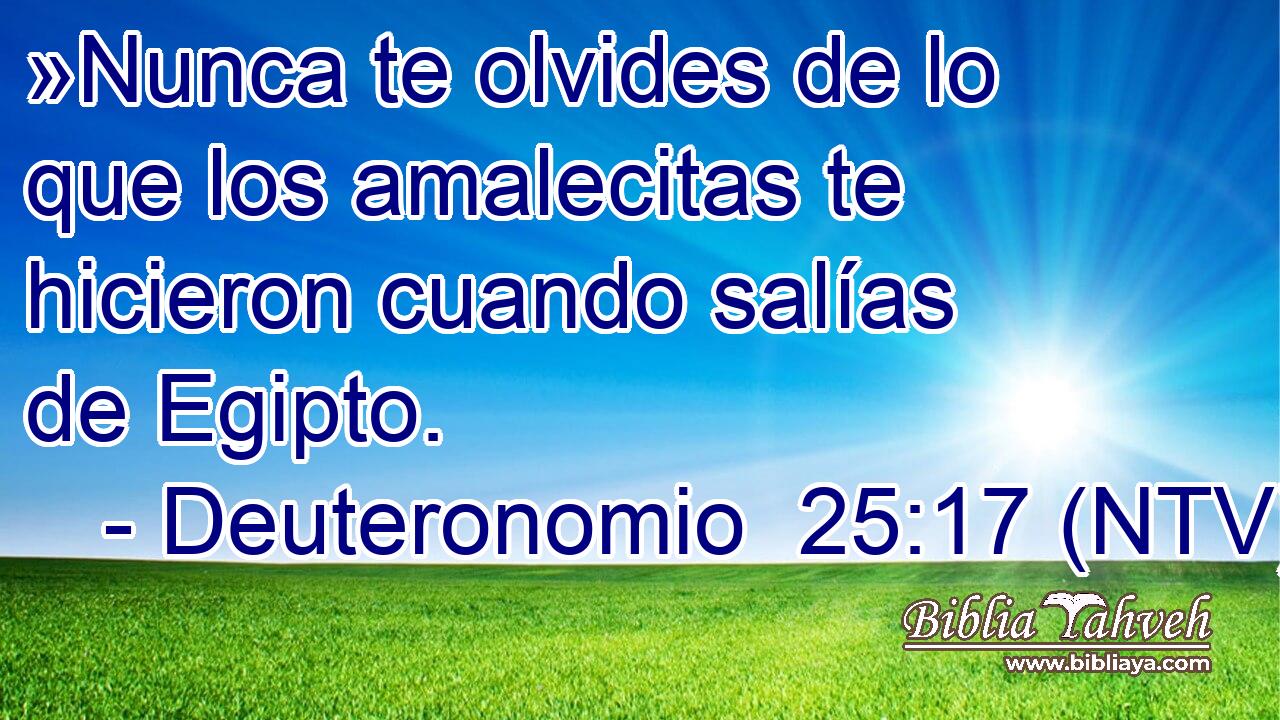 »Nunca te olvides de lo que los amalecitas te hicieron cuando salías de Egipto.