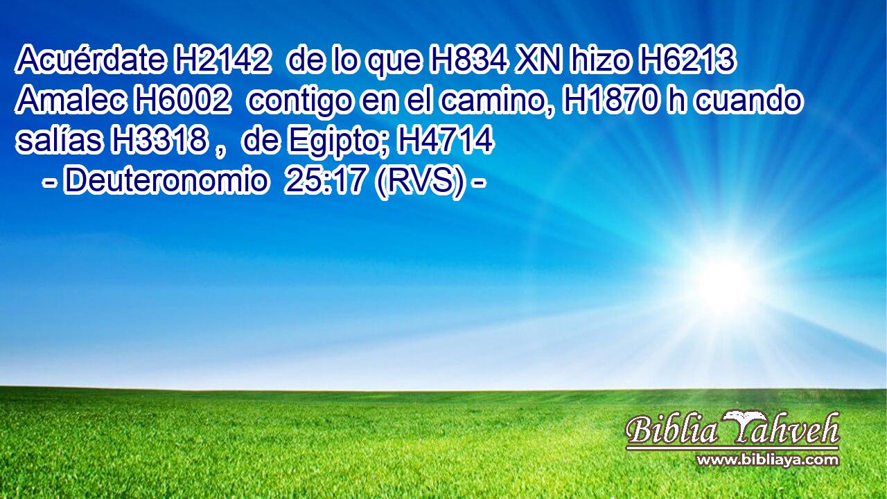 Acuérdate H2142  de lo que H834 XN hizo H6213  Amalec H6002  contigo en el camino, H1870 h cuando salías H3318 ,  de Egipto; H4714  