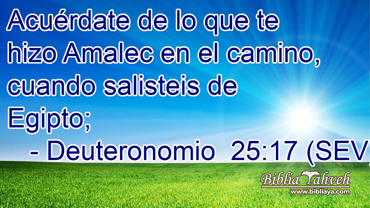 Acuérdate de lo que te hizo Amalec en el camino, cuando salisteis de Egipto;