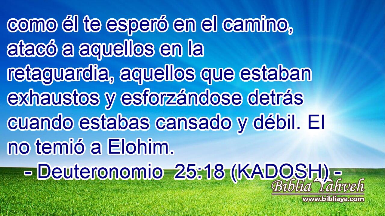  como él te esperó en el camino, atacó a aquellos en la retaguardia, aquellos que estaban exhaustos y esforzándose detrás cuando estabas cansado y débil. El no temió a Elohim. 
