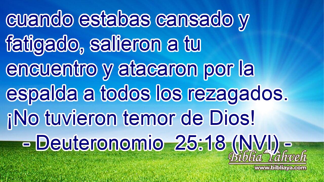  cuando estabas cansado y fatigado, salieron a tu encuentro y atacaron por la espalda a todos los rezagados. ¡No tuvieron temor de Dios! 
