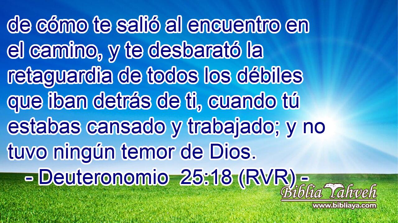 de cómo te salió al encuentro en el camino, y te desbarató la retaguardia de todos los débiles que iban detrás de ti, cuando tú estabas cansado y trabajado; y no tuvo ningún temor de Dios.