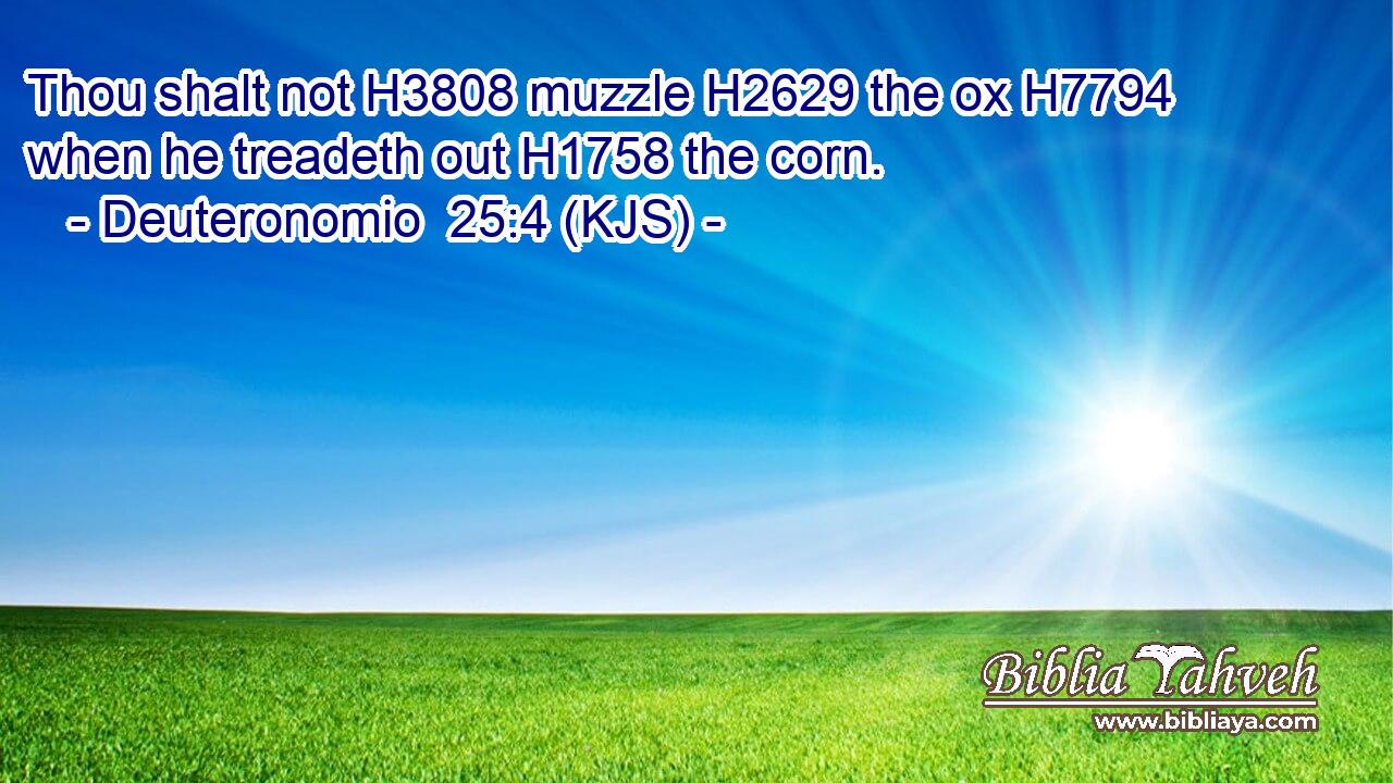 Thou shalt not H3808 muzzle H2629 the ox H7794 when he treadeth out H1758 the corn.