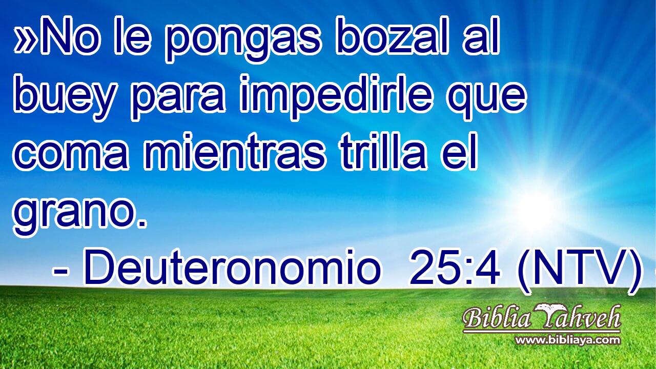 »No le pongas bozal al buey para impedirle que coma mientras trilla el grano.