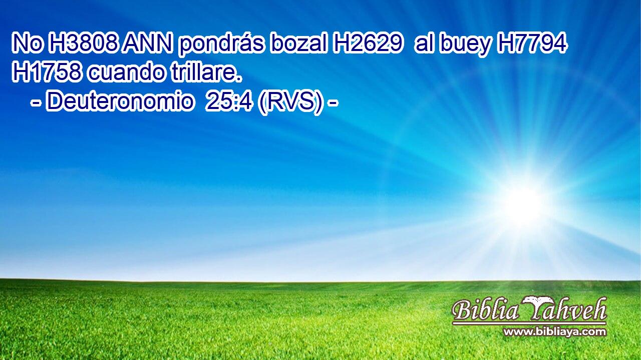 No H3808 ANN pondrás bozal H2629  al buey H7794  H1758 cuando trillare. 