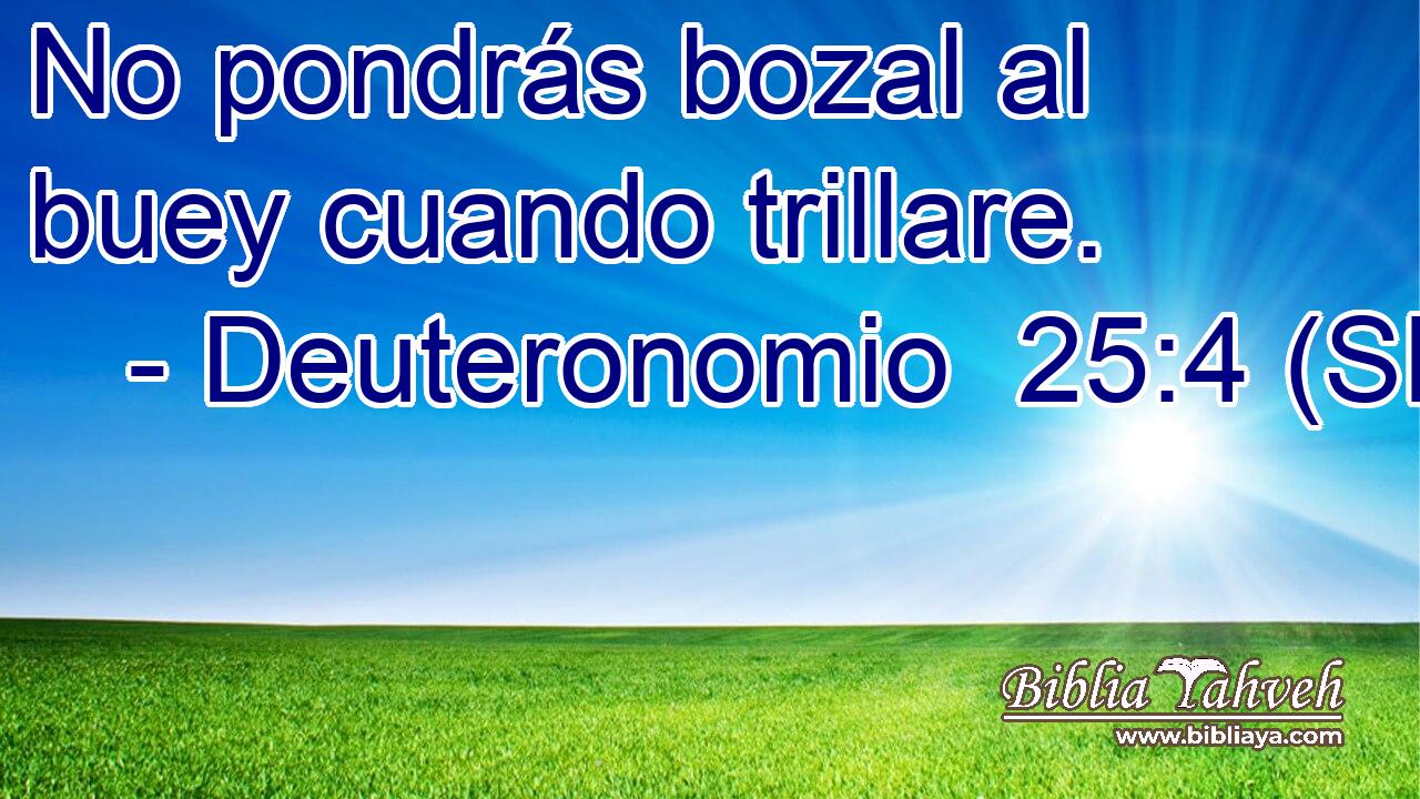 No pondrás bozal al buey cuando trillare.