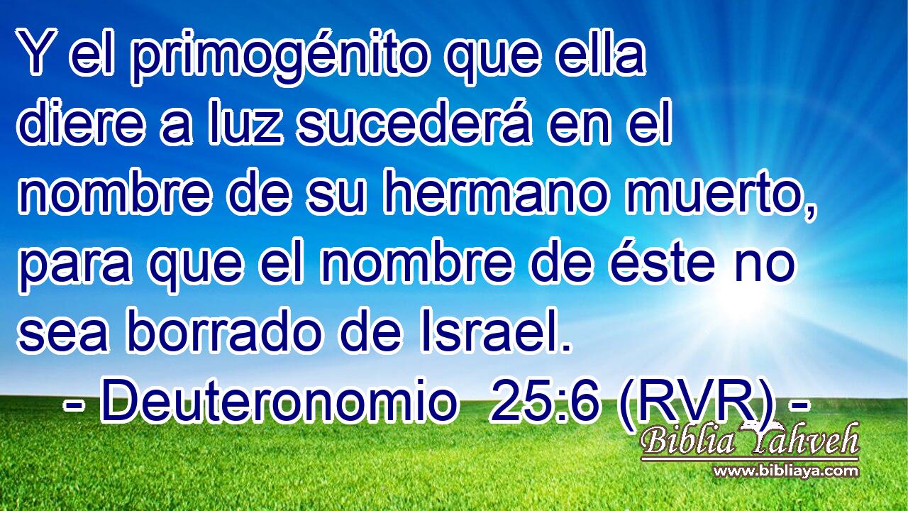 Y el primogénito que ella diere a luz sucederá en el nombre de su hermano muerto, para que el nombre de éste no sea borrado de Israel.