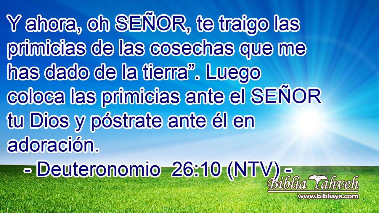 Y ahora, oh SEÑOR, te traigo las primicias de las cosechas que me has dado de la tierra”. Luego coloca las primicias ante el SEÑOR tu Dios y póstrate ante él en adoración.