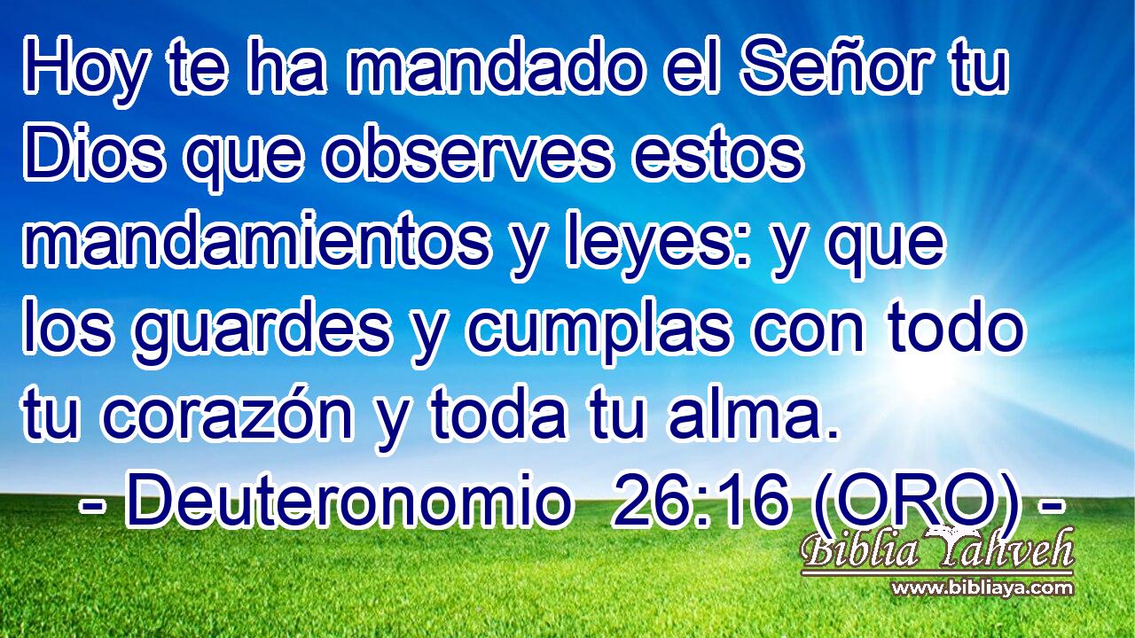  Hoy te ha mandado el Señor tu Dios que observes estos mandamientos y leyes: y que los guardes y cumplas con todo tu corazón y toda tu alma. 