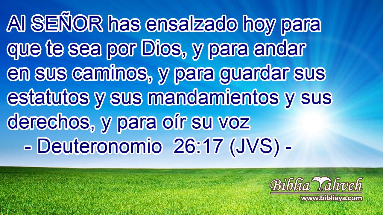 Al SEÑOR has ensalzado hoy para que te sea por Dios, y para andar en sus caminos, y para guardar sus estatutos y sus mandamientos y sus derechos, y para oír su voz