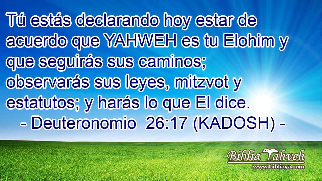  Tú estás declarando hoy estar de acuerdo que YAHWEH es tu Elohim y que seguirás sus caminos; observarás sus leyes, mitzvot y estatutos; y harás lo que El dice. 