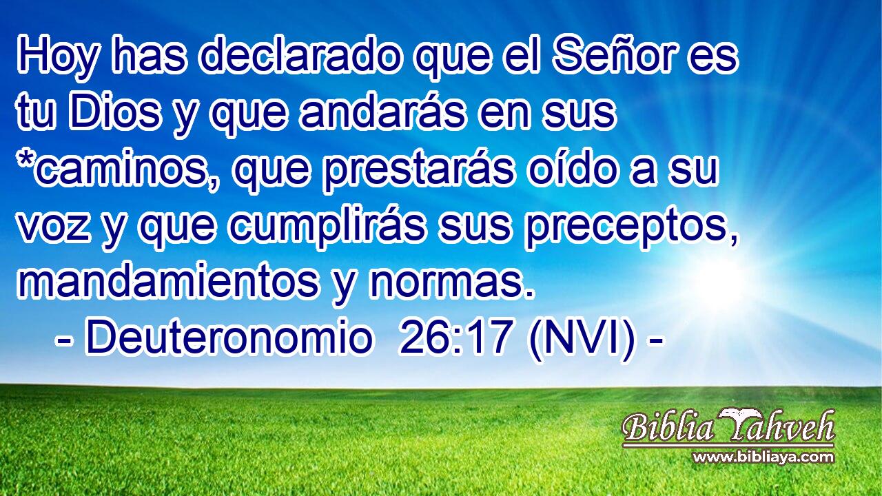 Hoy has declarado que el Señor es tu Dios y que andarás en sus *caminos, que prestarás oído a su voz y que cumplirás sus preceptos, mandamientos y normas. 