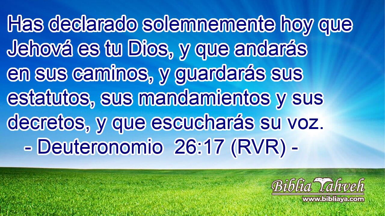 Has declarado solemnemente hoy que Jehová es tu Dios, y que andarás en sus caminos, y guardarás sus estatutos, sus mandamientos y sus decretos, y que escucharás su voz.