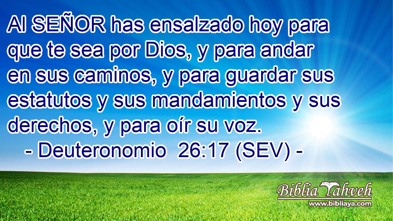 Al SEÑOR has ensalzado hoy para que te sea por Dios, y para andar en sus caminos, y para guardar sus estatutos y sus mandamientos y sus derechos, y para oír su voz.