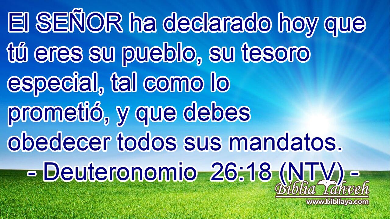 El SEÑOR ha declarado hoy que tú eres su pueblo, su tesoro especial, tal como lo prometió, y que debes obedecer todos sus mandatos.