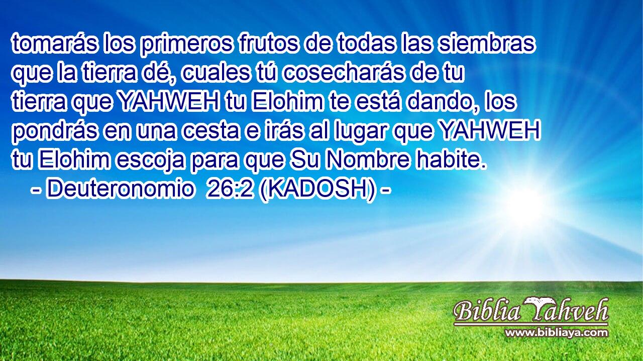  tomarás los primeros frutos de todas las siembras que la tierra dé, cuales tú cosecharás de tu tierra que YAHWEH tu Elohim te está dando, los pondrás en una cesta e irás al lugar que YAHWEH tu Elohim escoja para que Su Nombre habite. 
