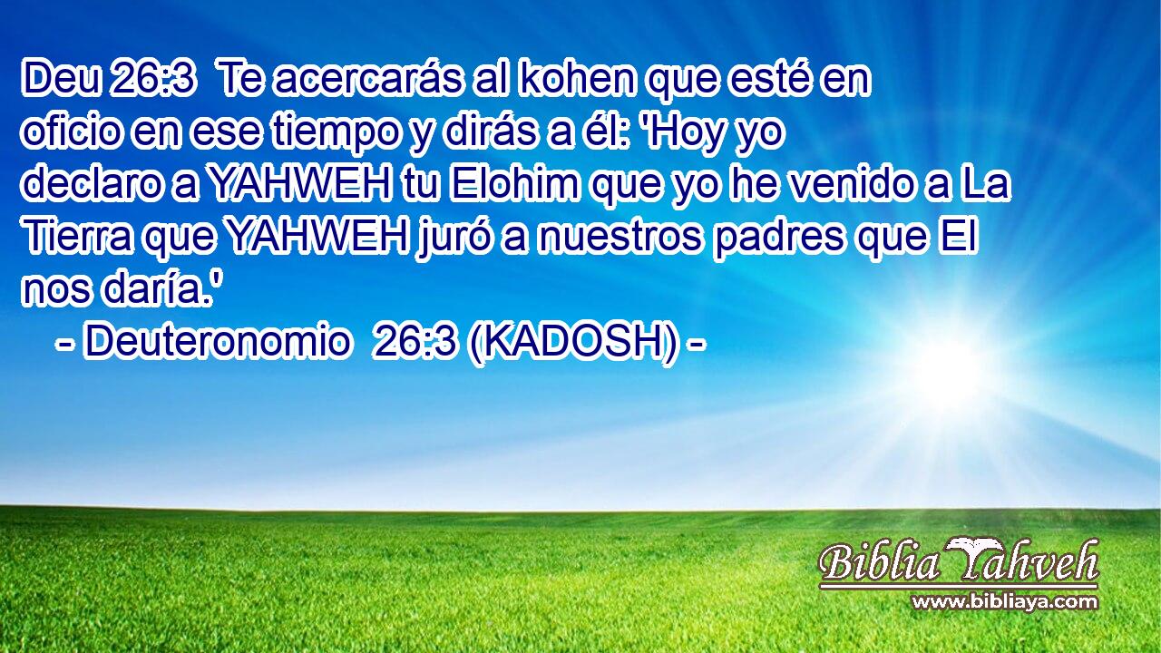  Te acercarás al kohen que esté en oficio en ese tiempo y dirás a él: 'Hoy yo declaro a YAHWEH tu Elohim que yo he venido a La Tierra que YAHWEH juró a nuestros padres que El nos daría.' 