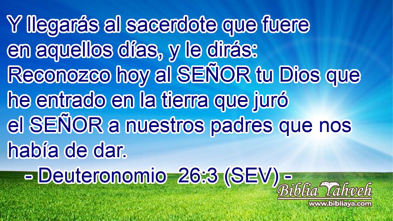 Y llegarás al sacerdote que fuere en aquellos días, y le dirás: Reconozco hoy al SEÑOR tu Dios que he entrado en la tierra que juró el SEÑOR a nuestros padres que nos había de dar.