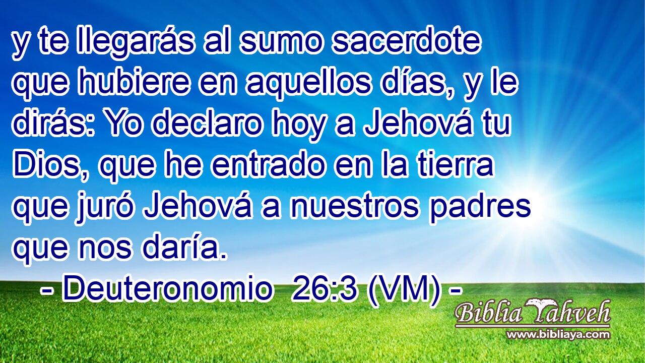  y te llegarás al sumo sacerdote que hubiere en aquellos días, y le dirás: Yo declaro hoy a Jehová tu Dios, que he entrado en la tierra que juró Jehová a nuestros padres que nos daría. 