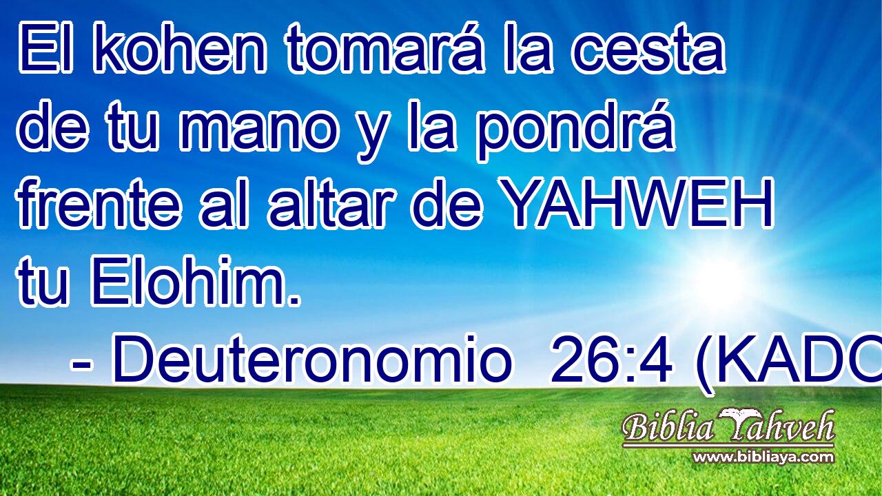  El kohen tomará la cesta de tu mano y la pondrá frente al altar de YAHWEH tu Elohim. 