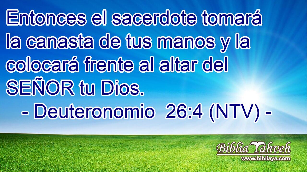 Entonces el sacerdote tomará la canasta de tus manos y la colocará frente al altar del SEÑOR tu Dios.