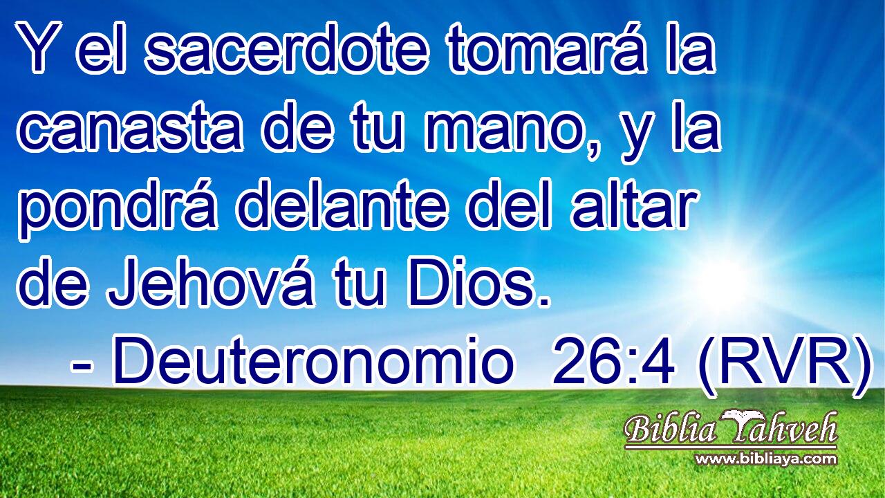 Y el sacerdote tomará la canasta de tu mano, y la pondrá delante del altar de Jehová tu Dios.