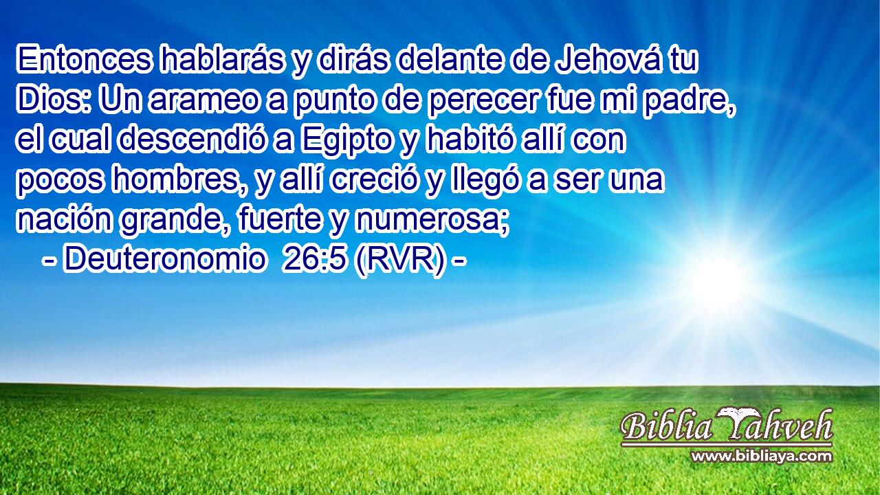 Entonces hablarás y dirás delante de Jehová tu Dios: Un arameo a punto de perecer fue mi padre, el cual descendió a Egipto y habitó allí con pocos hombres, y allí creció y llegó a ser una nación grande, fuerte y numerosa;