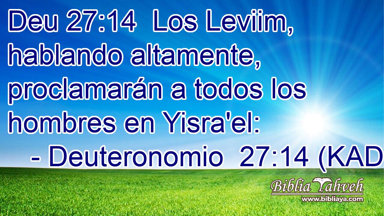  Los Leviim, hablando altamente, proclamarán a todos los hombres en Yisra'el: 