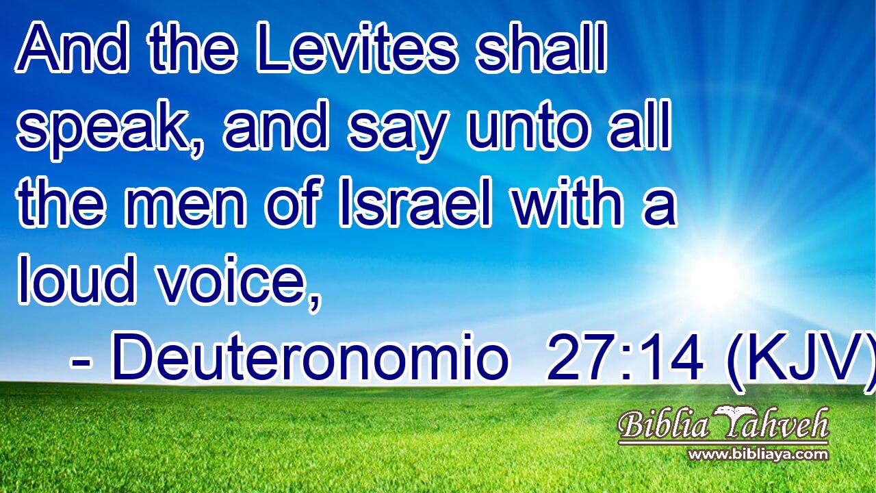 And the Levites shall speak, and say unto all the men of Israel with a loud voice,