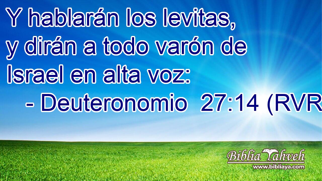 Y hablarán los levitas, y dirán a todo varón de Israel en alta voz:
