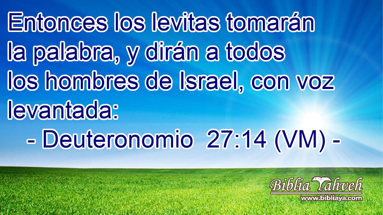  Entonces los levitas tomarán la palabra, y dirán a todos los hombres de Israel, con voz levantada: 