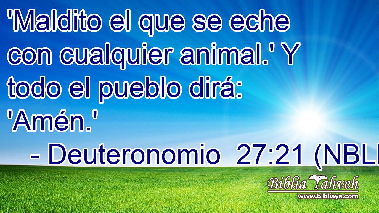  'Maldito el que se eche con cualquier animal.' Y todo el pueblo dirá: 'Amén.' 