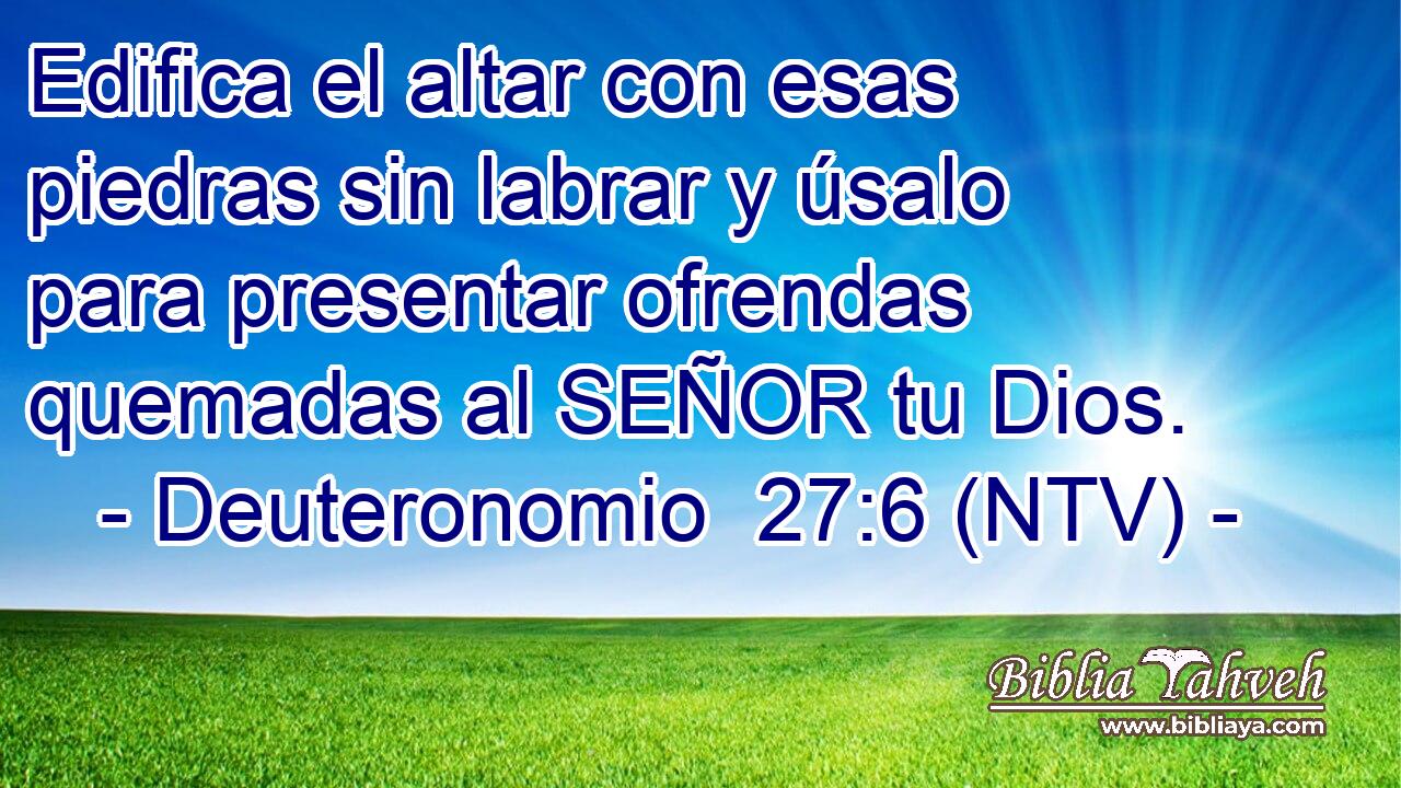 Edifica el altar con esas piedras sin labrar y úsalo para presentar ofrendas quemadas al SEÑOR tu Dios.