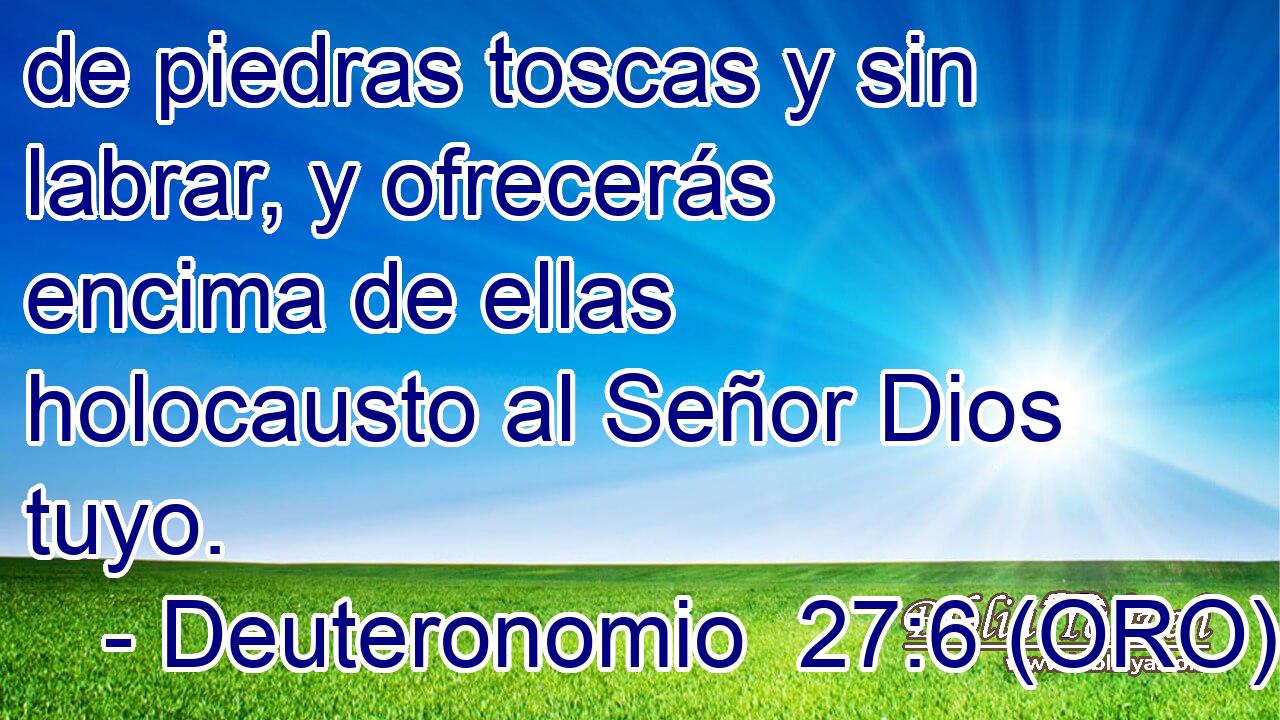  de piedras toscas y sin labrar, y ofrecerás encima de ellas holocausto al Señor Dios tuyo. 