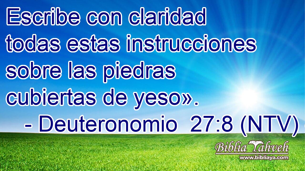 Escribe con claridad todas estas instrucciones sobre las piedras cubiertas de yeso».