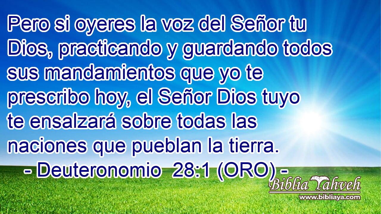  Pero si oyeres la voz del Señor tu Dios, practicando y guardando todos sus mandamientos que yo te prescribo hoy, el Señor Dios tuyo te ensalzará sobre todas las naciones que pueblan la tierra. 
