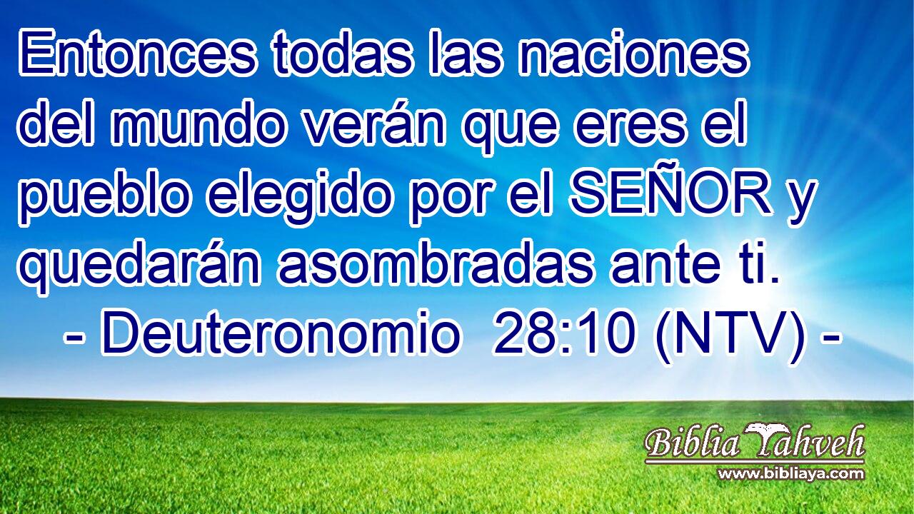 Entonces todas las naciones del mundo verán que eres el pueblo elegido por el SEÑOR y quedarán asombradas ante ti.