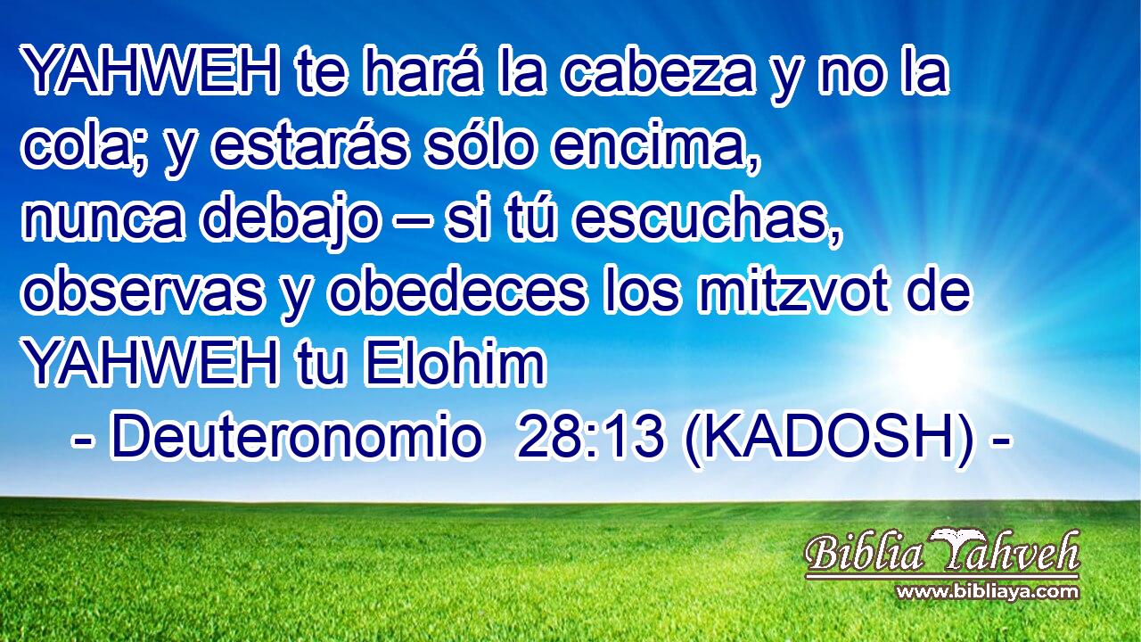  YAHWEH te hará la cabeza y no la cola; y estarás sólo encima, nunca debajo – si tú escuchas, observas y obedeces los mitzvot de YAHWEH tu Elohim 